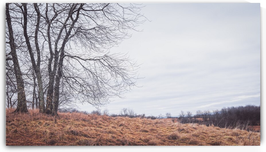 Lehigh Valley January Landscape by Jason Fink