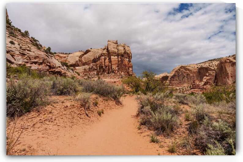 Scenic Trail To Lower Calf Creek Falls by Jennifer White