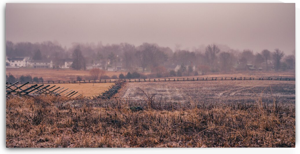 Oatmeal Fence by Dream World Images