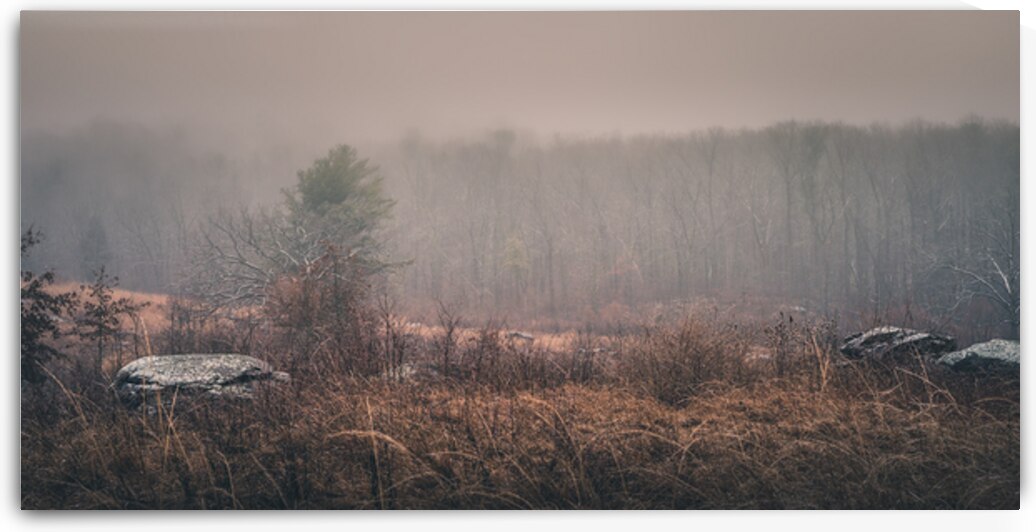 Winters Whispers by Dream World Images