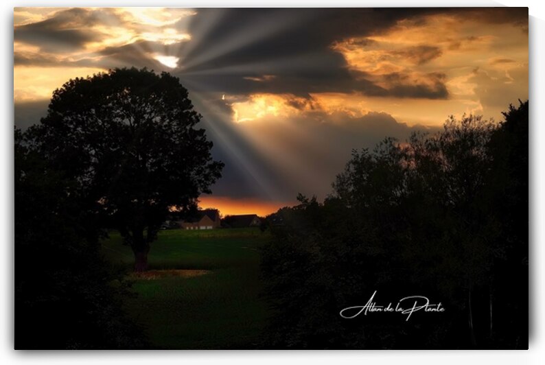 Morning Rays by Allan de la Plante