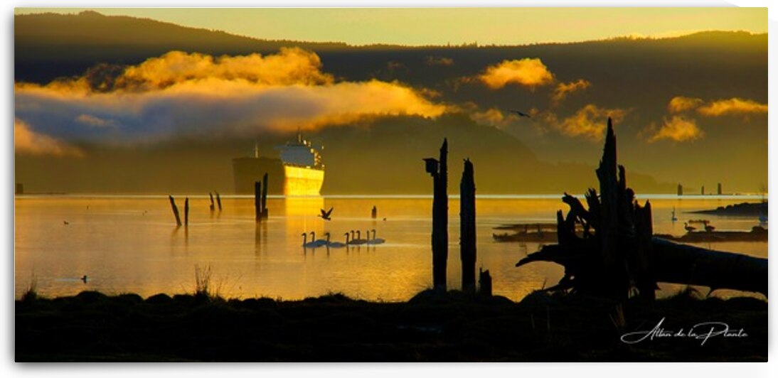 Lift off in the Morning Mist by Allan de la Plante