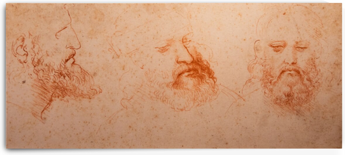 Leonardo da Vinci anatomical drawing on handmade cotton paper R by Paolo Modena