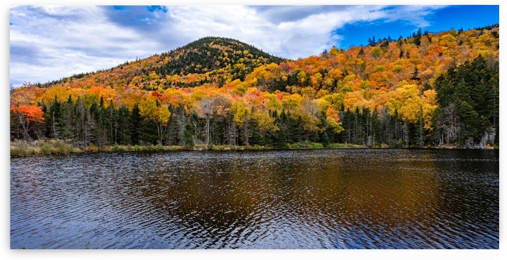 Along the Conway Scenic Railway by Dave Therrien