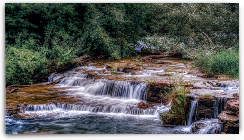 Tranquil Cascades: A Quaint Ducks Tale Upstream from Niagara Falls by Dream World Images