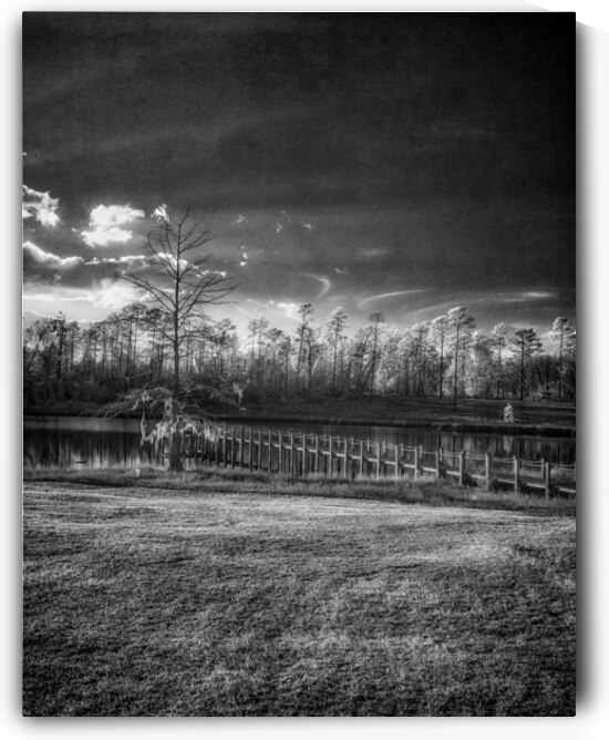 Gloomy Dock by Dream World Images