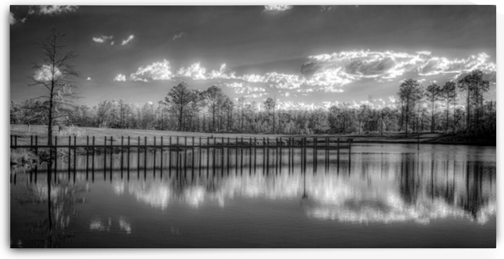 Tranquil Reflection: Florida Dead Lakes by Dream World Images