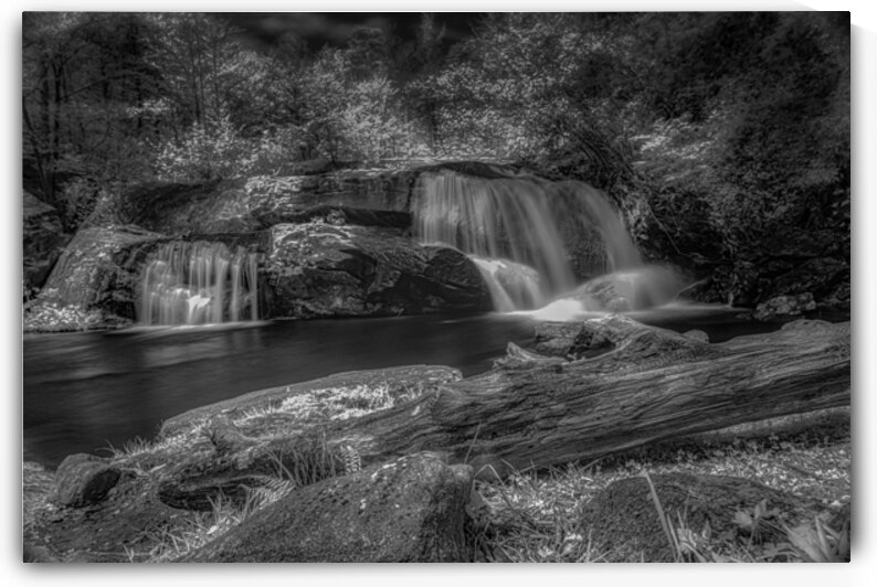 Whispers of Mist: Embracing Tranquility by Dream World Images