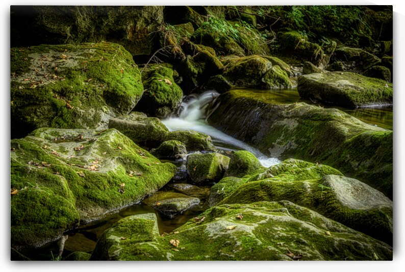 Silent Symphony of Flow by Dream World Images