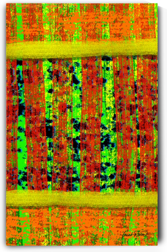 Blankie by Benoit David