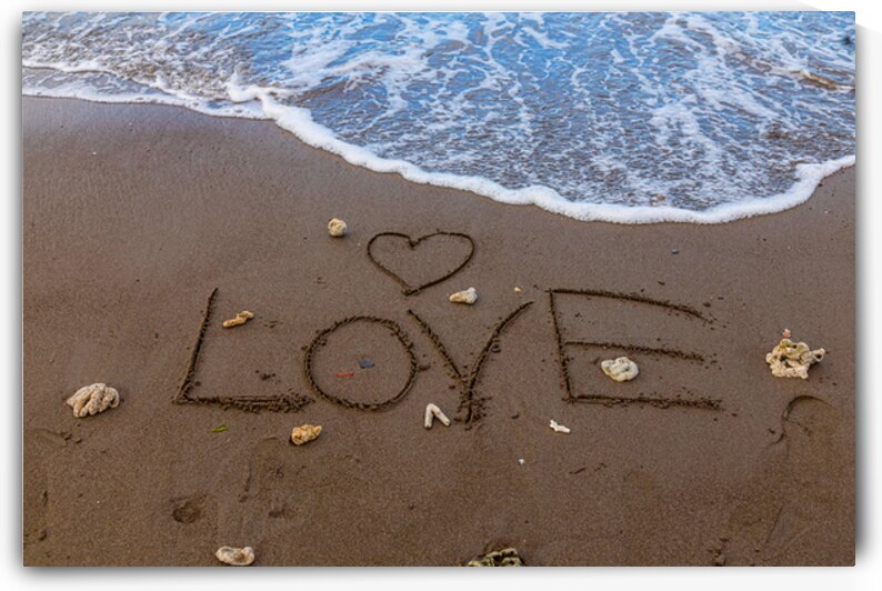 Ocean Love by Bo Insogna