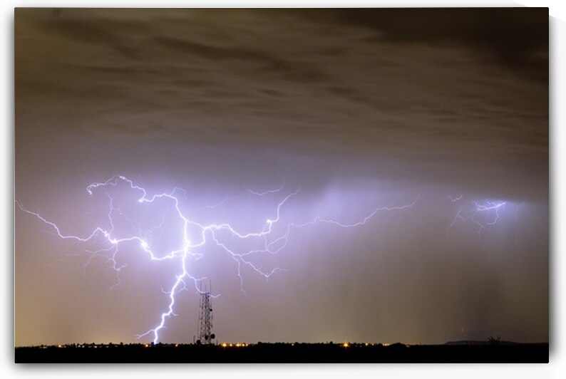 Electric Night by Bo Insogna