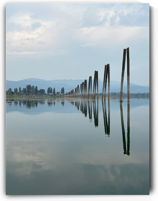 Mirrored Poles 2 by Shane J Stewart