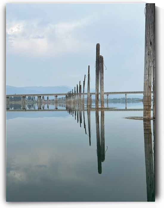 Mirrored Bridge Poles by Shane J Stewart