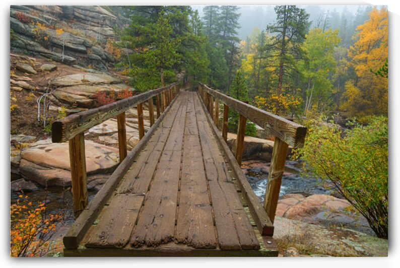 Rustic Wood Hiking Bridge Crossing by Bo Insogna