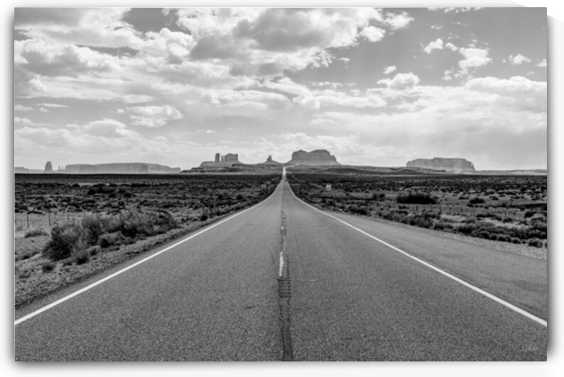 Forrest Gump Point Grayscale by Jennifer White