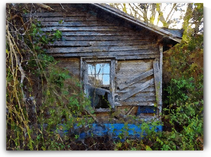 Watercolor depiction of an abandoned wooden house enveloped in overgrown vegetation by Gestalt Imagery