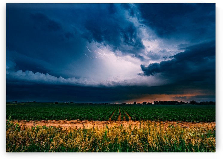 Prairie Lightning by Joel Fabrick