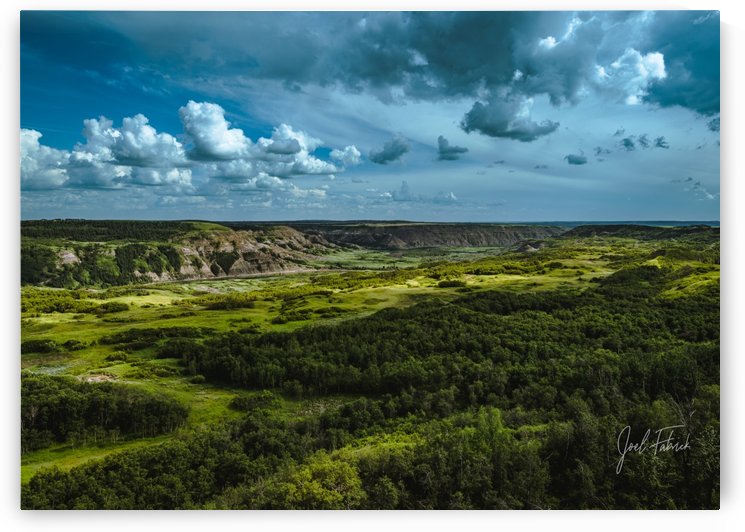 Dry Island Buffalo Jump 1 by Joel Fabrick