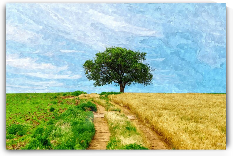 Kansas Farm Single Tree Painterly by Jennifer White