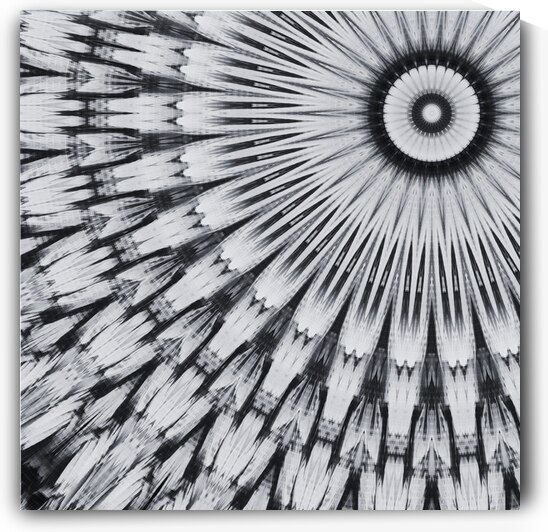 Abstract Monochrome Mandala  by Catriona Roberts Nature Photography and Designs