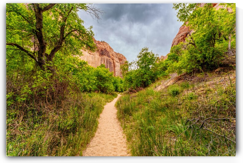 Lower Calf Hiking Trail Boulder Utah by Jennifer White
