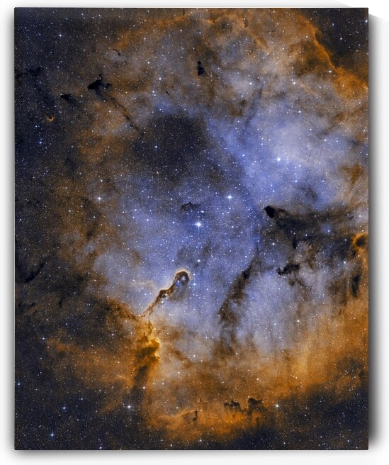 Elephant s Trunk Nebula by Lrenz