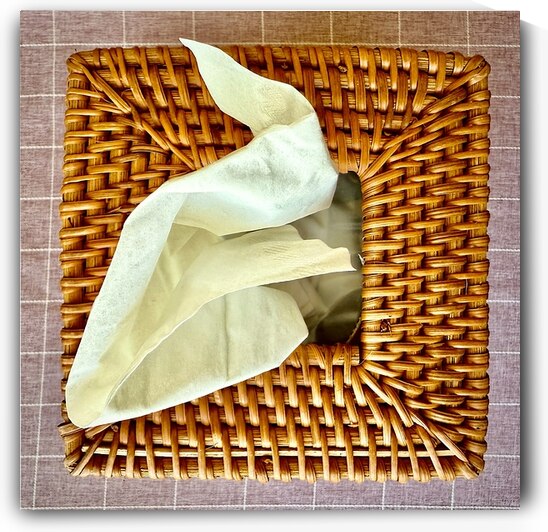 Square Box of Tissues ACHOO by Bill Swartwout Photography