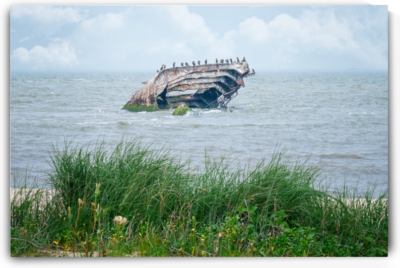 A Morning with the SS Atlantus by Jason Fink