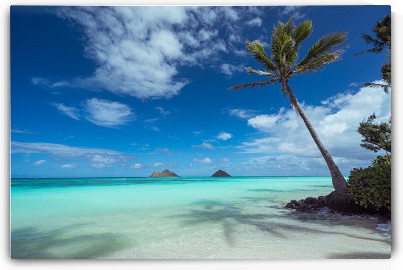  Lanikai Dream by Jeff Albritton