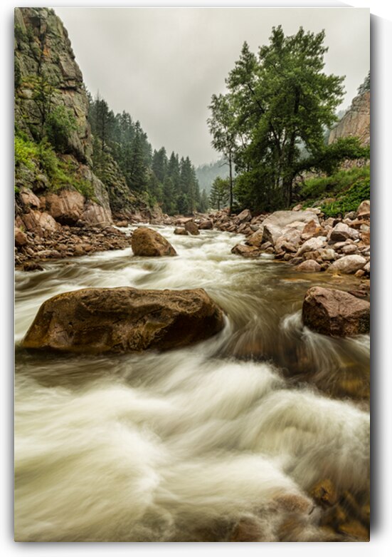 South St Vrain Canyon Portrait Boulder County Colorado by Bo Insogna