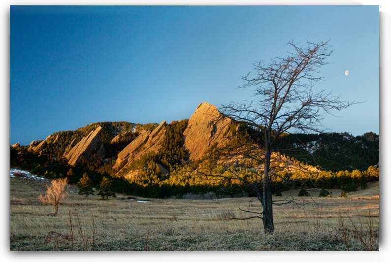 Waning Gibbous Moon Boulder Colorado Flatirons Early Morning Lig by Bo Insogna
