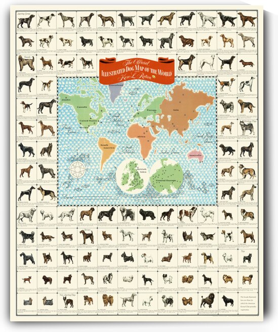Pictorial World Map of Dog Breeds – Illustrated Global Map Featuring Various Dog Breeds by Region Depicting Geographic Origins Canine Types and Cultural Heritage of Domesticated Dogs Worldwide by History In Your Home
