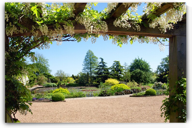 Wisteria View by Gill Billington