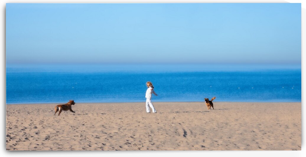 Woman and Dogs by Mark Schacter