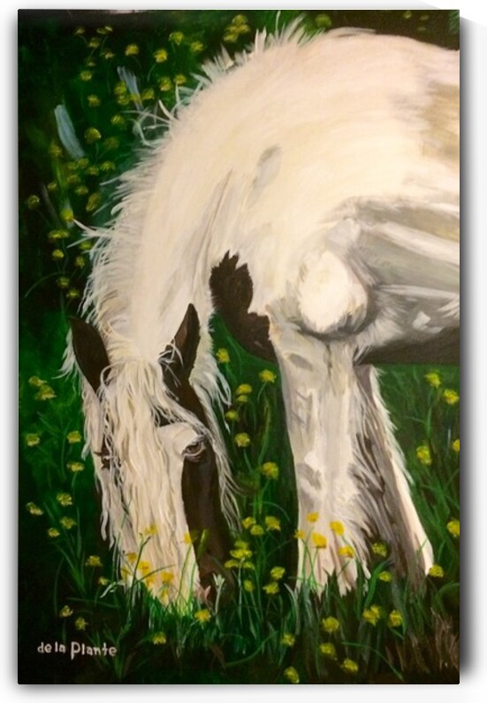 Another Belle by Allan de la Plante