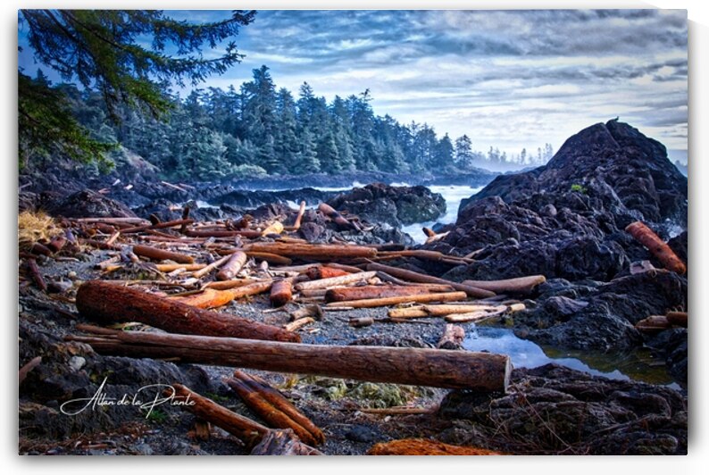 WEST COAST TRAIL by Allan de la Plante