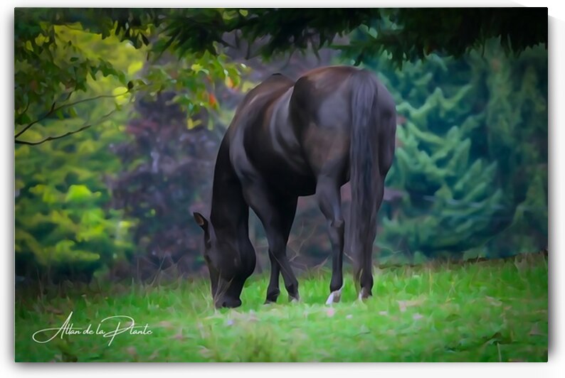   A Quiet Lunch                    by Allan de la Plante