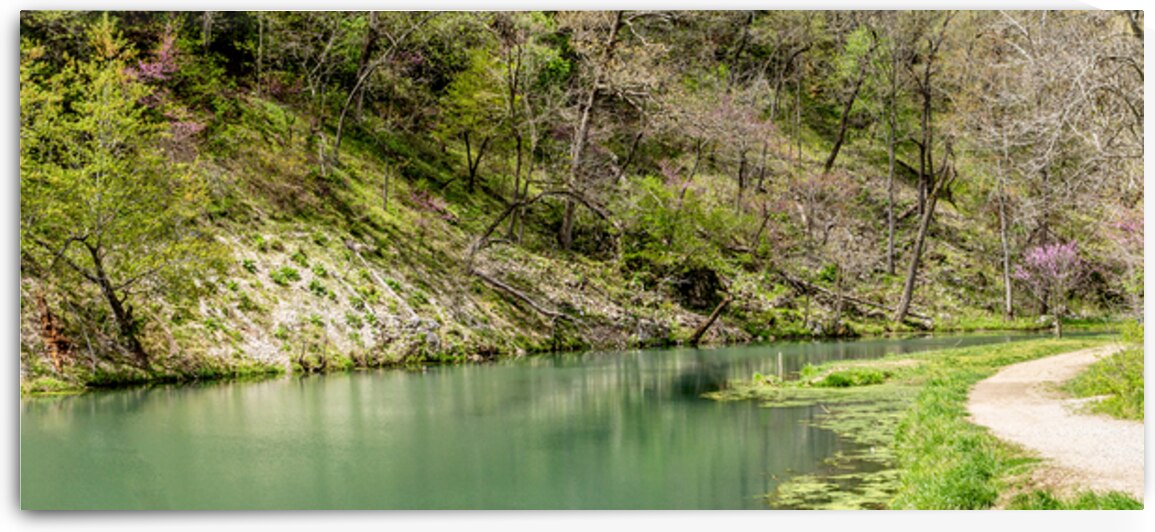 Dripping Springs Creek Pano by Jennifer White
