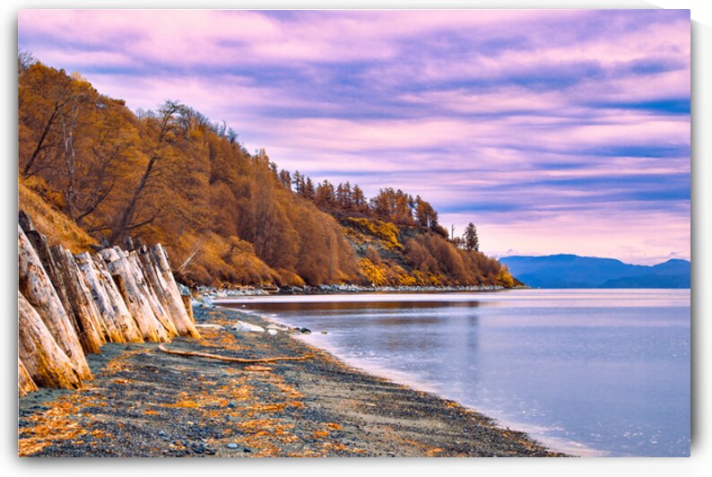 Goose Spit Park At Dawn by CRB Images Photography