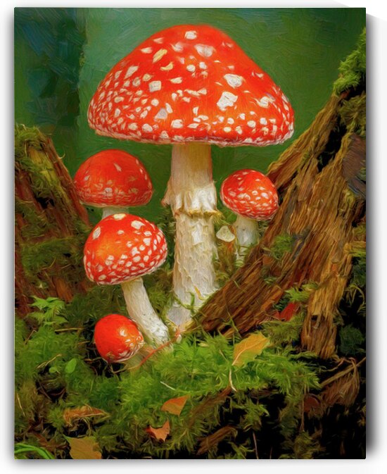Red Spotted Toadstools by Thea Menagh