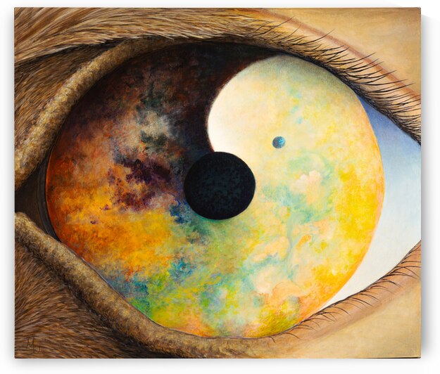 metamorphosis  by Marc Dmytryshyn