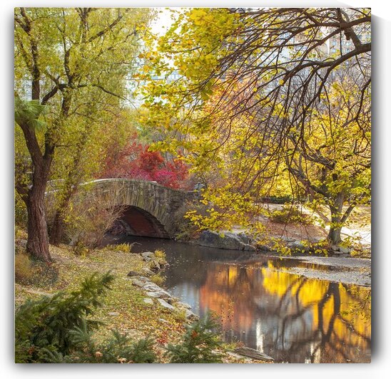 Gapstow bridge in autumn Central Park New York city by Assaf Frank