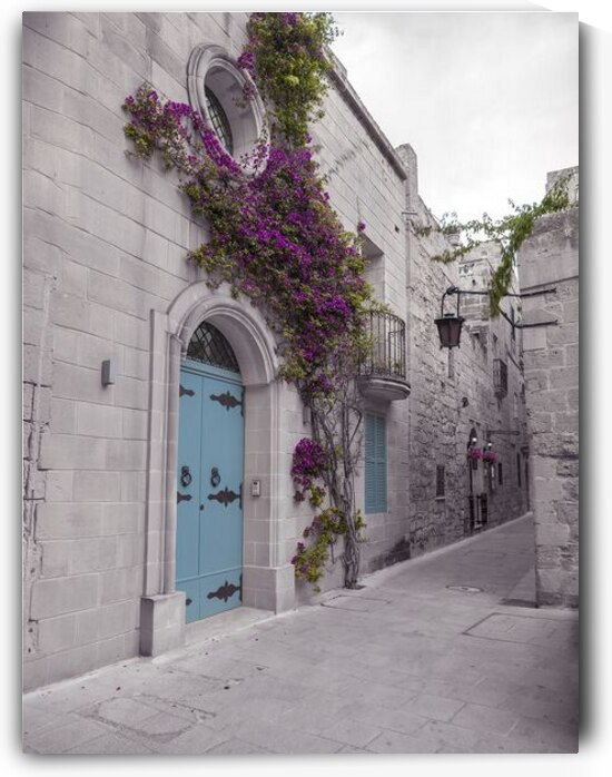Traditional houses on narrow lanes of Mdina Malta by Assaf Frank