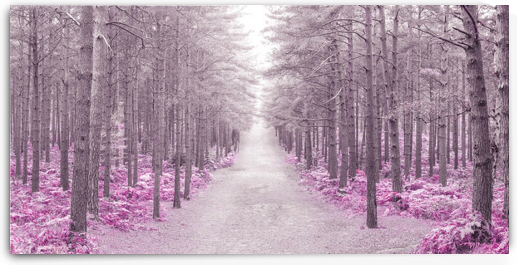 Autumn Brilliance by Assaf Frank