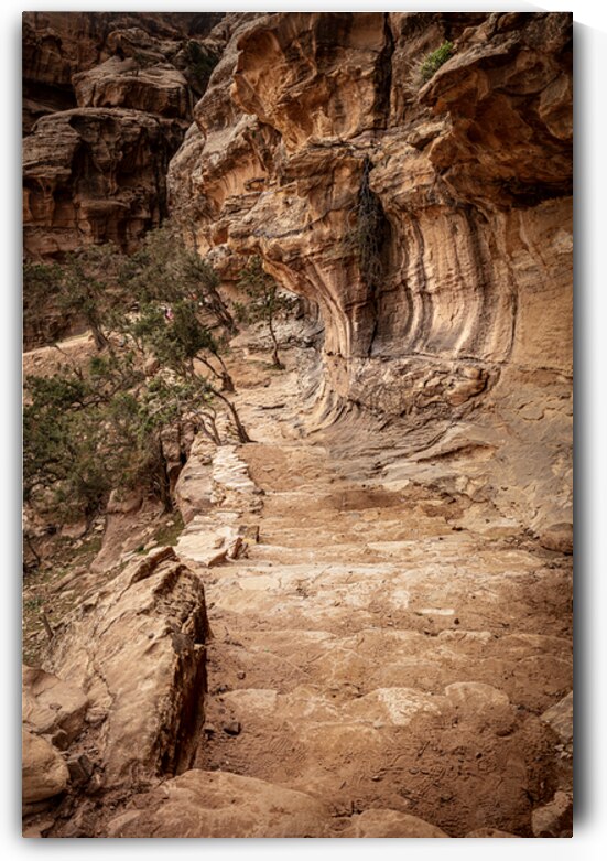 Colorful sandstone canyon walls winding through the siq al barid by Gualtiero Boffi