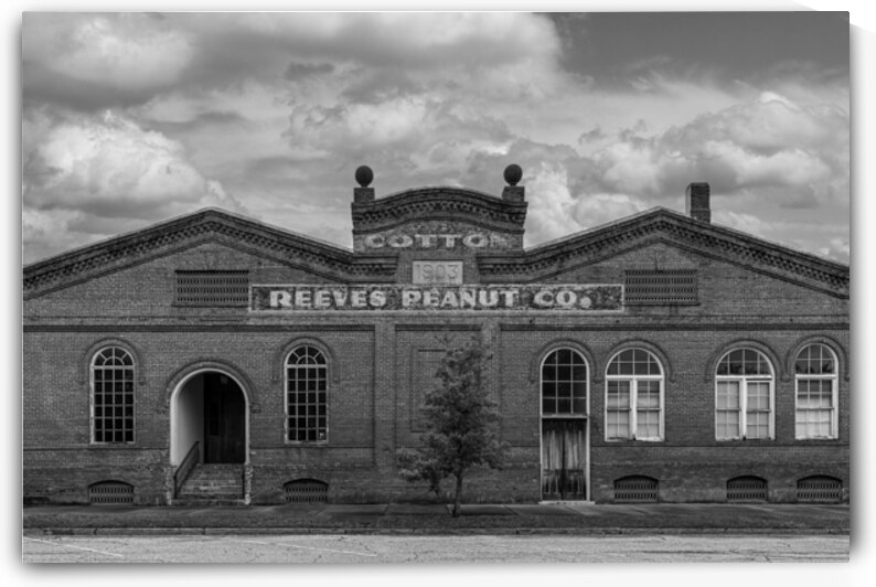 Vintage Peanut Co 8889 by Mike Burgquist