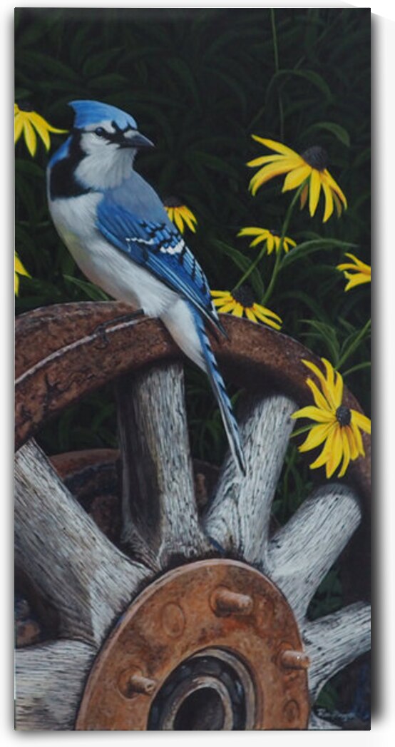 Ron Plaizier   Summer s Embrace by Ron Plaizier   Wildlife Artist