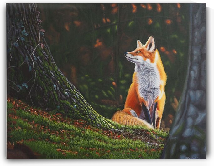 Ron Plaizier   A Glimpse of Solitude by Ron Plaizier   Wildlife Artist