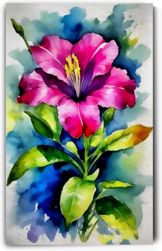 Four o clock flowers14k3 by Touristart25